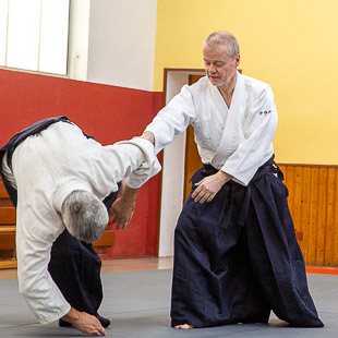 August 2023:<br />Yondan Keiko